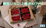 【受付2024年3月10日まで】静岡 いちご 2種 計4パック 食べ比べセット（紅ほっぺ・スターナイト）冷蔵 苺 フルーツ