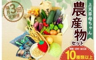 【隔月定期便3回】上天草母ちゃん農産物セット 野菜・お米・加工品10種類以上！