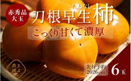 柿(種無し) 6個入 秀品大玉［2026年9月末頃より発送］［KT1］ 1225575 - 和歌山県上富田町