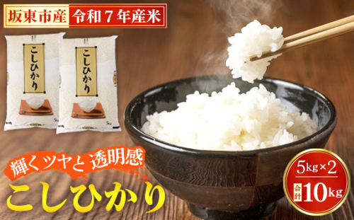 No.669 令和7年産　こしひかり10kg【坂東市産】 ／ コシヒカリ お米 こめ 茨城県 1225676 - 茨城県坂東市