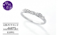 指輪 天然 ダイヤモンド 0.075ct リボン SIクラス【K18WG】r-244（KRP）G72-1410