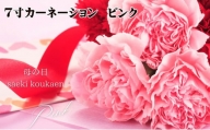 7寸カーネーション　ピンク 母の日ギフト 花 フラワー