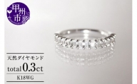 指輪 天然 ダイヤモンド 0.3ct ハーフ エタニティ SIクラス C_cileセシル【K18WG】r-164（KRP）M94-1413