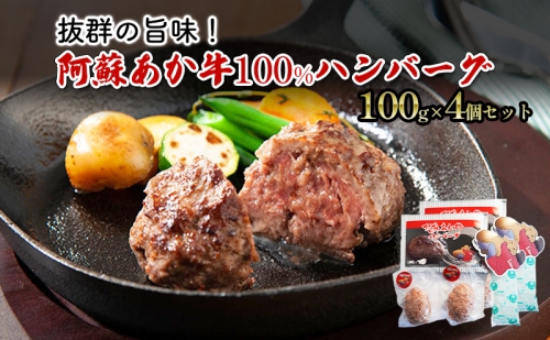 ハンバーグ セット 4個 阿蘇 あか牛 牛肉 100% 2p×2個 肉 お肉 にく 赤牛 配送不可：離島 1225950 - 熊本県錦町