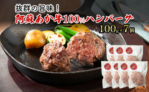 ハンバーグ 阿蘇 あか牛 100% 100g×7個 肉 牛肉 お肉 にく 配送不可：離島  1225958 - 熊本県錦町