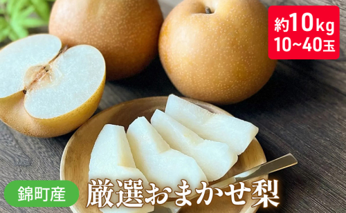 梨 おまかせ 約10kg 豊水・秋月・新高などから最も旬の梨を厳選 錦町産 10～40玉 なし ナシ 果物 くだもの デザート フルーツ ※配送不可：離島  1225967 - 熊本県錦町