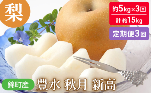 定期便 3回 梨 約5kg×3回 計約15kg 豊水 秋月 新高  錦町産 ナシ 果物 くだもの なし デザート フルーツ お楽しみ ※配送不可：離島  1225968 - 熊本県錦町