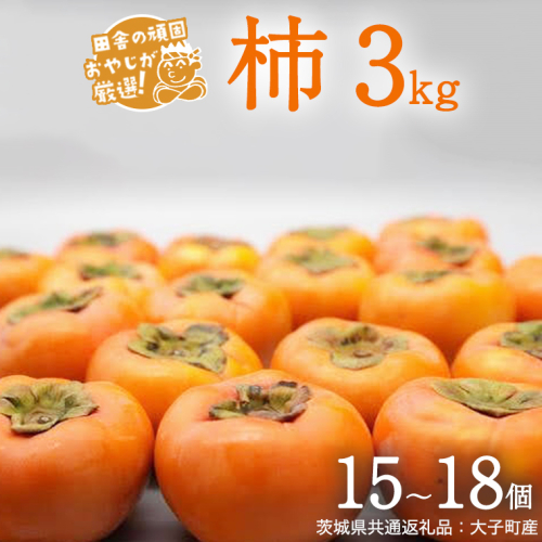 柿 3kg（15〜18個）【2025年10月より発送開始】（茨城県共通返礼品：大子町産）柿 かき カキ 果物 フルーツ 茨城県産 [BI428-NT] 1226318 - 茨城県つくばみらい市