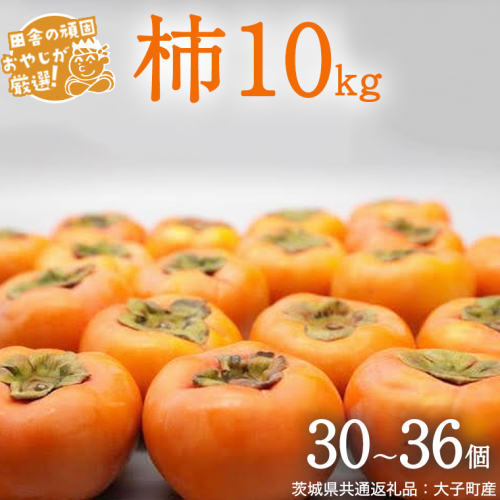柿 10kg（30〜36個）【2025年10月より発送開始】（茨城県共通返礼品：大子町産）柿 かき カキ 果物 フルーツ 茨城県産 [BI429-NT] 1226319 - 茨城県つくばみらい市