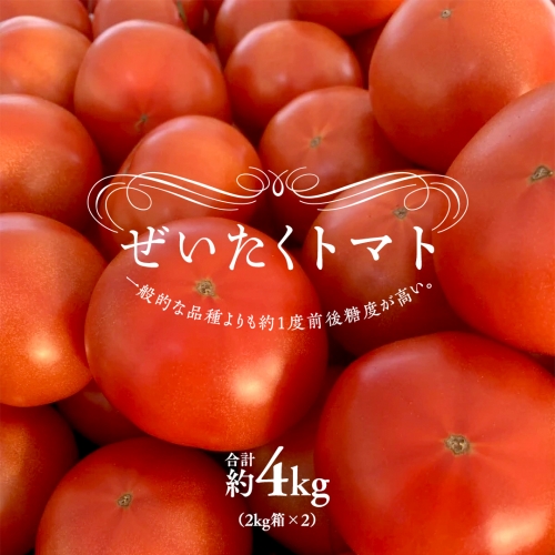 ぜいたくトマト！ 約2kg × 2 合計 約4kg ( 18～24個 ) トマト 大玉トマト 新鮮 美味しい 野菜 [J011-NT] 1226579 - 茨城県つくばみらい市