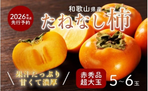 柿 種無し 赤秀品 超大玉 1.8kg 5～6個 ［先行予約］［2026年9月末頃から発送］［KG4］ 1226711 - 和歌山県那智勝浦町