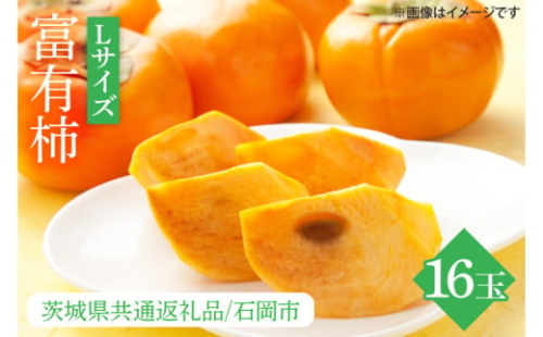 【先行予約】【数量限定】富有柿 L 16玉【茨城県共通返礼品/石岡市】【水戸市 茨城県 カキ 柿 フルーツ 果物 くだもの 富有柿 ジューシー 甘い】（IU-9）