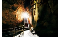 【日本三大鍾乳洞】龍河洞観光コース入洞券 大人1名分 チケット 鍾乳洞 洞窟 地下 観光 歴史 自然