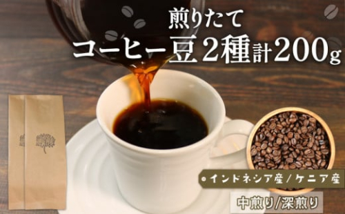 自家焙煎 コーヒー 豆 200g (インドネシア100g/深煎り、ケニア100g/中煎り)  