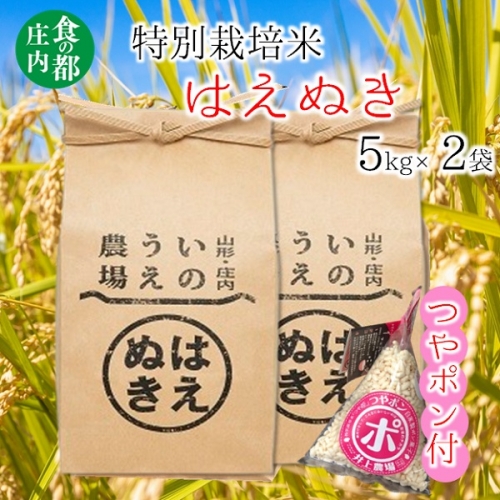 食の都庄内　井上農場の特別栽培米はえぬき5kg×2袋+つやポン 1227365 - 山形県三川町