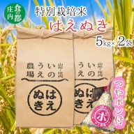 食の都庄内　井上農場の特別栽培米はえぬき5kg×2袋+つやポン