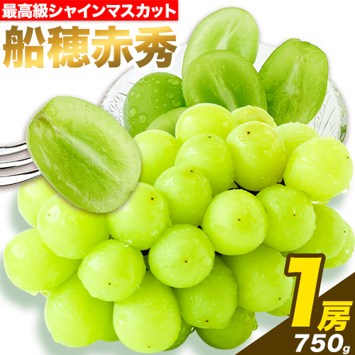 最高級 シャインマスカット [2026年先行予約] ぶどう 船穂赤秀 1房 750g 岡山県産《2026年9月上旬-10月末頃出荷(土日祝除く)》 ハレノフルーツ マスカット 送料無料 岡山県 浅口市 フルーツ 果物 贈り物 ギフト 国産 岡山県産【配送不可地域あり】 1227369 - 岡山県浅口市