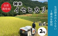 【2023年収穫米  精米】自然栽培米 神米 イセヒカリ 2キロ  |  米 イセヒカリ 無農薬 愛媛県 松山市 米 白米 精米
