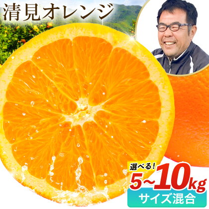 熟成清見オレンジ10kg 5kg どの坂果樹園《3月上旬-5月中旬頃出荷》 和歌山県 日高川町 清見オレンジ 旬 柑橘 フルーツ 果物 オレンジ 熟成 1227729 - 和歌山県日高川町