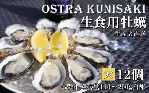 生食用殻付き牡蠣「Ostra Kunisaki」大きいサイズ12個（殻付き重量110～200g/個）_2360R 1228187 - 大分県国東市