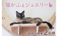 鹿嶋市の癒しの空間　猫カフェでまったり　猫かふぇジュエリー　１時間利用券セット　２名様 （KCS-2）