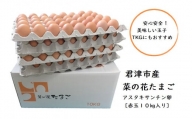 君津市産 菜の花エッグ アスタキサンチン卵 赤玉LM10kg入り 菜の花たまご たまご 卵