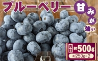 No.406 ブルーベリー　約500g（約250gパック×2） ／ 甘い 果物 フルーツ 埼玉県