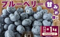 No.409 ブルーベリー　約1kg（約500gパック×2） ／ 甘い 果物 フルーツ 埼玉県