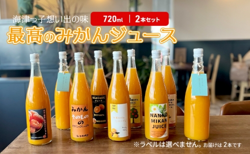 海津っ子の想い出の味　最高のみかんジュース　2本セット 1229080 - 岐阜県海津市