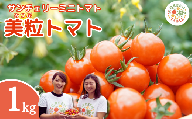 [ 先行予約 ] 美粒トマト ミニトマト サンチェリー 1kg 2026年7月発送 トマト 新鮮 採れたて フレッシュ 野菜 農家直送 1キロ 人気 おすすめ ギフト 贈答 プレゼント 福島県 田村市 田村 GREEN for TABLE