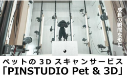ペット専用の360度同時撮影によるペットの3D化により小型小動物から大型犬まで撮影できます。飼い主様はカメラ機材の外から近くで話しかけながら撮ります。 ペットを360度アングルから同時に撮影しますので