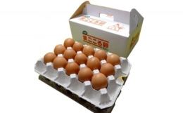 【ふるさと納税】「地元ブランド」まごころ卵30個入り 鶏卵(生食用)【1008773】