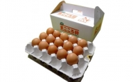 「地元ブランド」まごころ卵30個入り　鶏卵(生食用)【1008773】