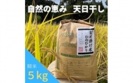 昔ながらの自然乾燥　“はぜ掛け米”　令和5年産  一等米ひのひかり 5kg【1354255】