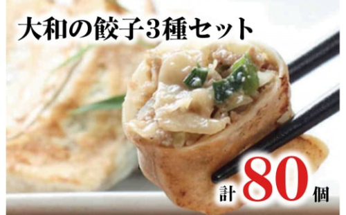 大和の餃子3種セット 計80個 20個入 4パック タレ付 冷凍 餃子 大きめ ぎょうざ ギョウザ ギョーザ 肉 鶏 おかず餃子 ごはんのお供 便利 日用 簡単調理 惣菜 1万円 10000円 冷凍餃子 大容量餃子 国産原料餃子 簡単調理餃子 ぎょうざ 加工食品 絶品 おかず 弁当 おつまみ 晩ごはん ふるさとおすすめ