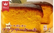究極のナポレオンブランデーケーキ 5本 1本入×5箱  洋酒ケーキ ケーキ 人気 セット