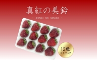 シエルファーム 大粒 黒いちご 12粒 真紅の美鈴 / 高級 いちご 苺