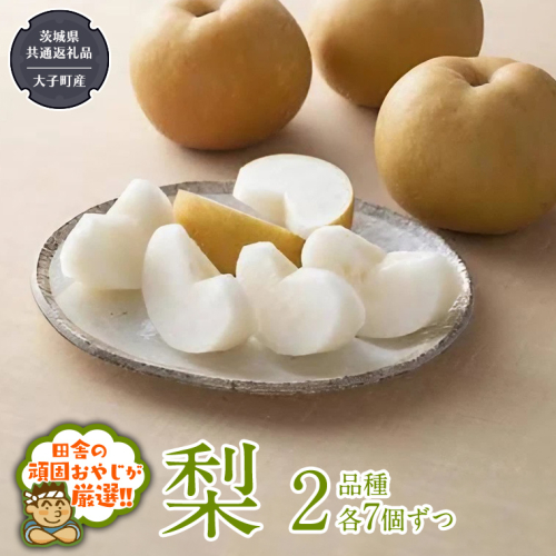 梨 2品種 各7個ずつ【2026年8月より発送開始】（茨城県共通返礼品 [梨]：大子町産）田舎の頑固おやじが厳選！  なし ナシ 果物 フルーツ 茨城県産 [BI453-NT] 1230683 - 茨城県つくばみらい市