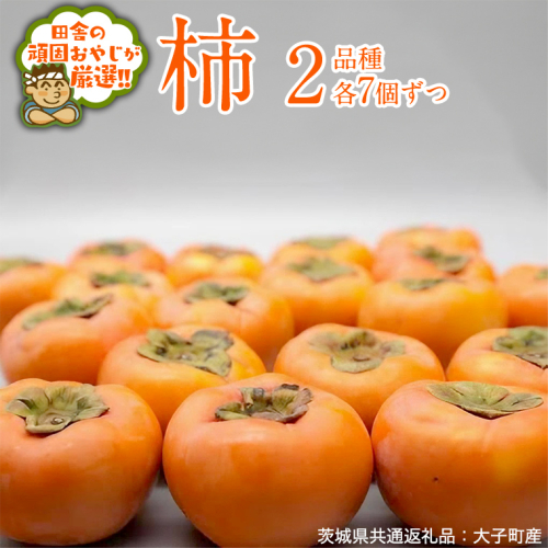 柿　2品種 食べ比べ 各7個ずつ【10月中旬より発送開始】（茨城県共通返礼品：大子町産） 果物 フルーツ 茨城県産 [BI455-NT] 1230686 - 茨城県つくばみらい市