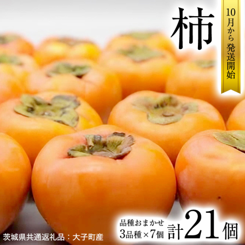 柿　3品種 食べ比べ 各7個ずつ【10月中旬より発送開始】（茨城県共通返礼品：大子町産） 果物 フルーツ 茨城県産 [BI456-NT] 1230687 - 茨城県つくばみらい市