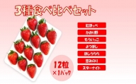 シエルファーム 大粒いちご 12粒 3品種 食べ比べ / 大粒 高級 いちご 苺
