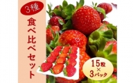 シエルファーム 大粒いちご 15粒 3品種 食べ比べ 3パック / 大粒 高級 いちご 苺