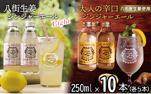 八街生姜ジンジャーエールLIGHT ＋八街生姜ジンジャーエール　計10本セット ジンジャーエール 生姜 八街 ジュース ジンジャー 瓶 ビン セット 辛口 定期便 ギフト 辛口 濃厚 飲料 炭酸 炭酸飲料 生姜 国産 贈答用 千葉 1230851 - 千葉県八街市