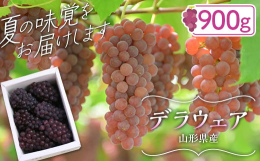 山形県産のデラウェアは、朝晩の寒暖差で甘くおいしくなります。豊かな自然でおいしい果物が育つのが山形県です。種なしで食べやすく、甘みが強いぶどうがお好きな方には特にお勧めです。山形県産の「デラウェア」を