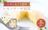 【8月発送】 レモンケーキBOX（4個入）2箱セット【ルポ】 スイーツ 焼菓子 洋菓子 [TBN007]