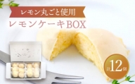 【7月発送】 レモンケーキBOX（12個入）【ルポ】 スイーツ ギフト 焼菓子 [TBN009]