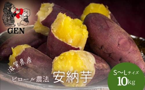 GENの熟成 安納芋 (生芋)S～Lサイズ 10kg さつまいも 1231397 - 滋賀県甲良町