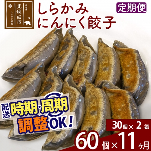 【定期便11ヶ月】しらかみにんにく餃子 60個 (30個×2パック) お届け時期選べる 【冷凍】 1231836 - 秋田県北秋田市