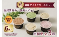 【全３回 / 定期便】ハンデルスベーゲン 無添加アイスクリーム / カップアイスクリーム6個×全3回