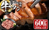 厚切り 塩味 牛タン (計600g) 【DH262】【(株)ネクサ】